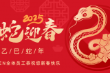 辞旧迎新，蛇舞华章丨深圳333体育官网全体员工祝您新春快乐！